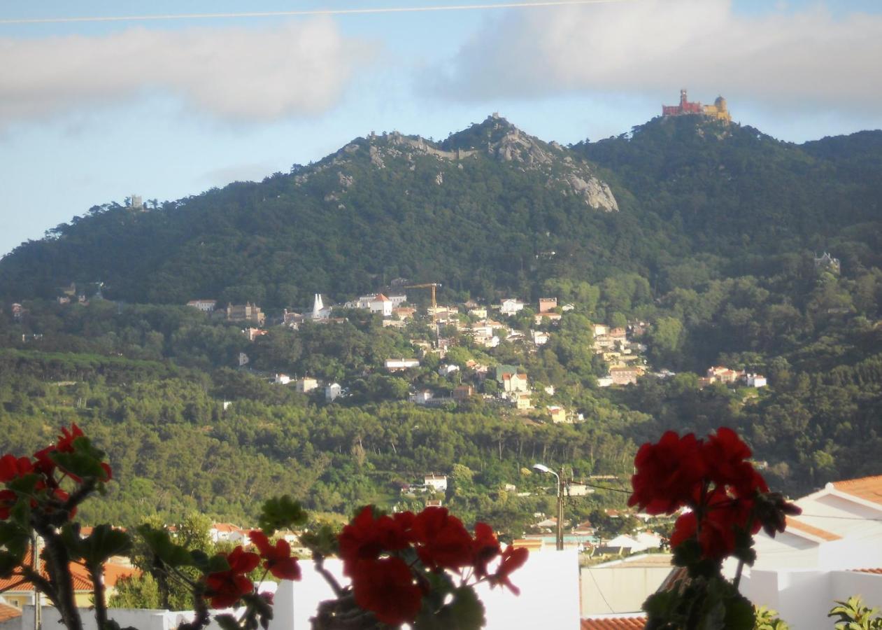 Galo Preto - Sintra Guesthouse Екстериор снимка